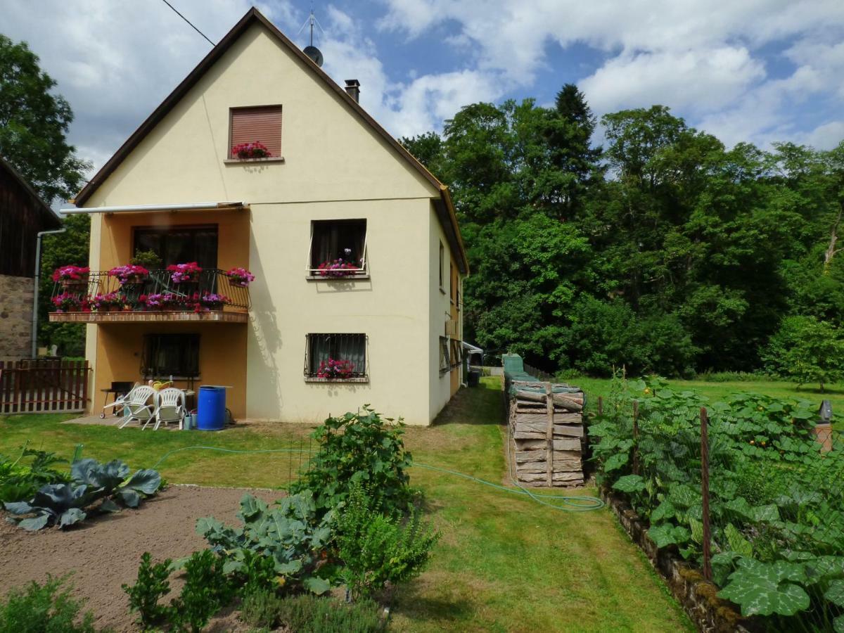 Appartement Location Elfe à Stosswihr Extérieur photo