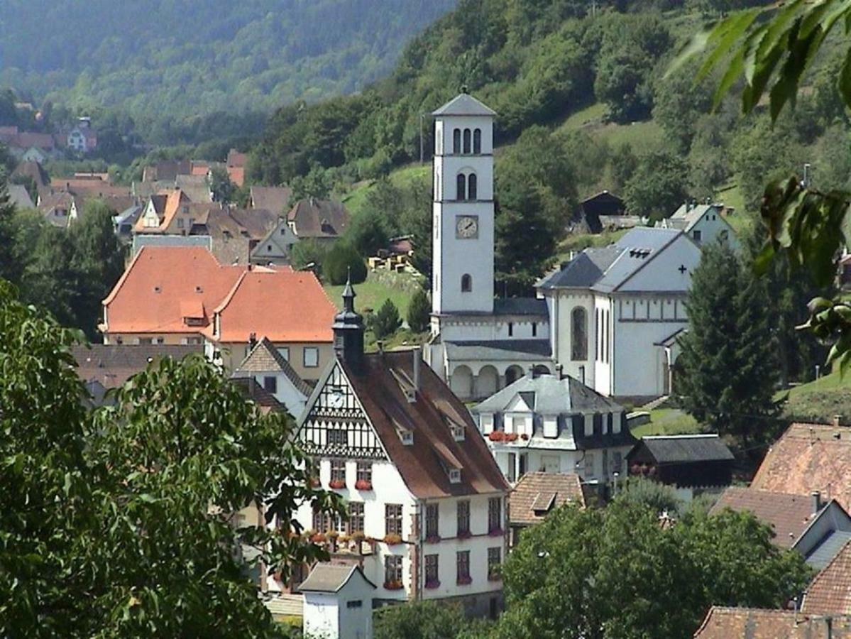 Appartement Location Elfe à Stosswihr Extérieur photo